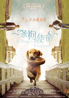 qvod激情