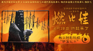 在线视频免费国产成人