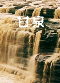 猫咪社区的永久地域网名是什么