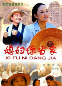 偷香高手完整版免费观看