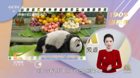 傲鲨